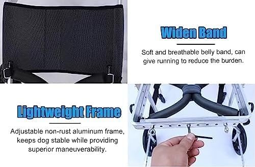 Accessoires de poussette et fauteuil roulant pour chien paralysé - 3