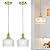 Vintage Pendant Light Set of 2, Brushed Gold Pendant Lights Kitchen Island with Clear Glass, Brass Kitchen Island Light Adjustable Hanging Light for Entrance Living Room Bathroom Dining Room Hallway