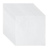 XEmbro 12 PCS Aida Cloth 14 Count White Cross Stitch Fabric for DIY Craft Embroidery, Handmade Needlework, Home Decoration (7.8 x 7.8 Inch)