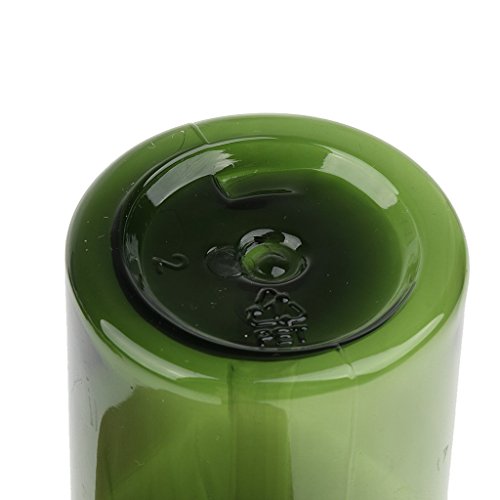 24 Flacons Compte-gouttes Portables pour Parfums et Voyages