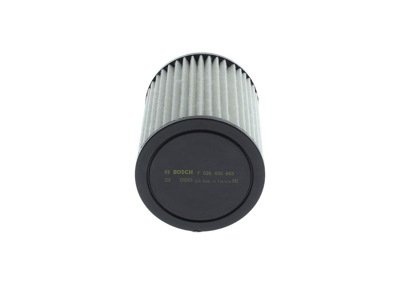 F 026 400 665 BOSCH Air Filter for HYUNDAI