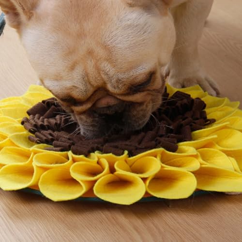 Schnüffelmatte für Hunde Futter Schnüffeln Fütterung Matte Haustier Schnüffelmatte Waschbar Welpe Langsam Füttern Training Matte für Langeweile und Stressabbau Ermutigt Hunde Langsam Fressen (A, M)