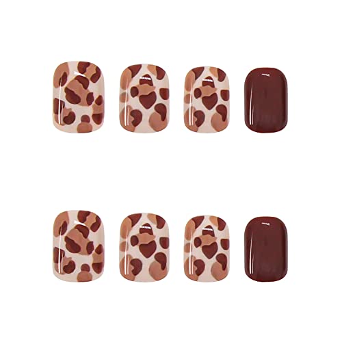 Brown Fake Nails Leopard Print Press On Nails Short Fall False Nails Square For Women (Leopard) #TOP4