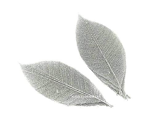 Nava Chiangmai Rubber Tree Leaves - Pack Of 100 Skeleton Leaves Decorative Diy Craft, Artificial Leaves Craft Card Scrapbook Diy Handmade Embellishment Decoration Art (Silver) #TOP16