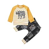 2 stück kinderkleidung Set hirolan Baby Kapuzenpullover Mantel Outfits Kleinkind Junge Stil beschriftung Hoodie Tops Muster Hose strampelanzug Baumwolle Langarmshirt strampelhöschen