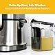 ProfiCook® Entsafter | Entsafter Gemüse und Obst mit Profi-Motor | Turbofunktion | Juicer extra großer Edelstahl-Einfüllschacht | Äpfel, Möhren und andere Früchte entsaften | Slow Juicer | PC AE 1156