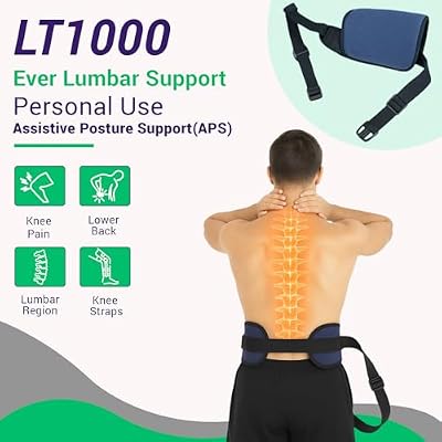 Evertrac Posture Back Belt with Assistive Lumbar Support Adjustable Ergonomic Belt for Upright Sitting, Lower Back Pain Relief & Improved Spine Alignment (Small to Large)