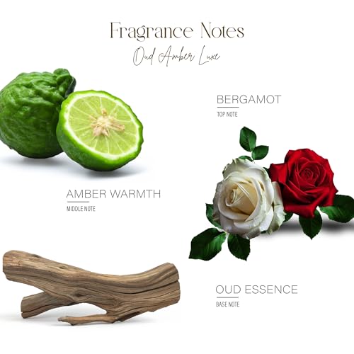 Image of BSOUL Air Freshener Spray 100 ML Pack of 2 Oud Amber | Calming Floral Room & Nature Inspired Fragrance for Car Non-Toxic & Long-Lasting Room Freshener