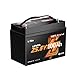 LiTime 4 Pack 24V 100Ah Group 31 Bluetooth LiFePO4 Battery for RVs, Off-Grid - Mini Size, 6000+ Deep Cycles, Low-temp Cutoff Protection