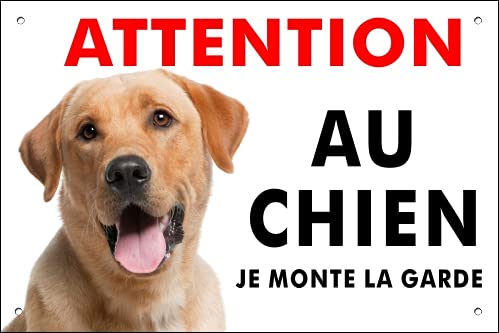 Pubblimania Labrador retriever Panneau signalétique pour chien en aluminium rigide, d’une épaisseur de 3 mm (20 x 30 cm)