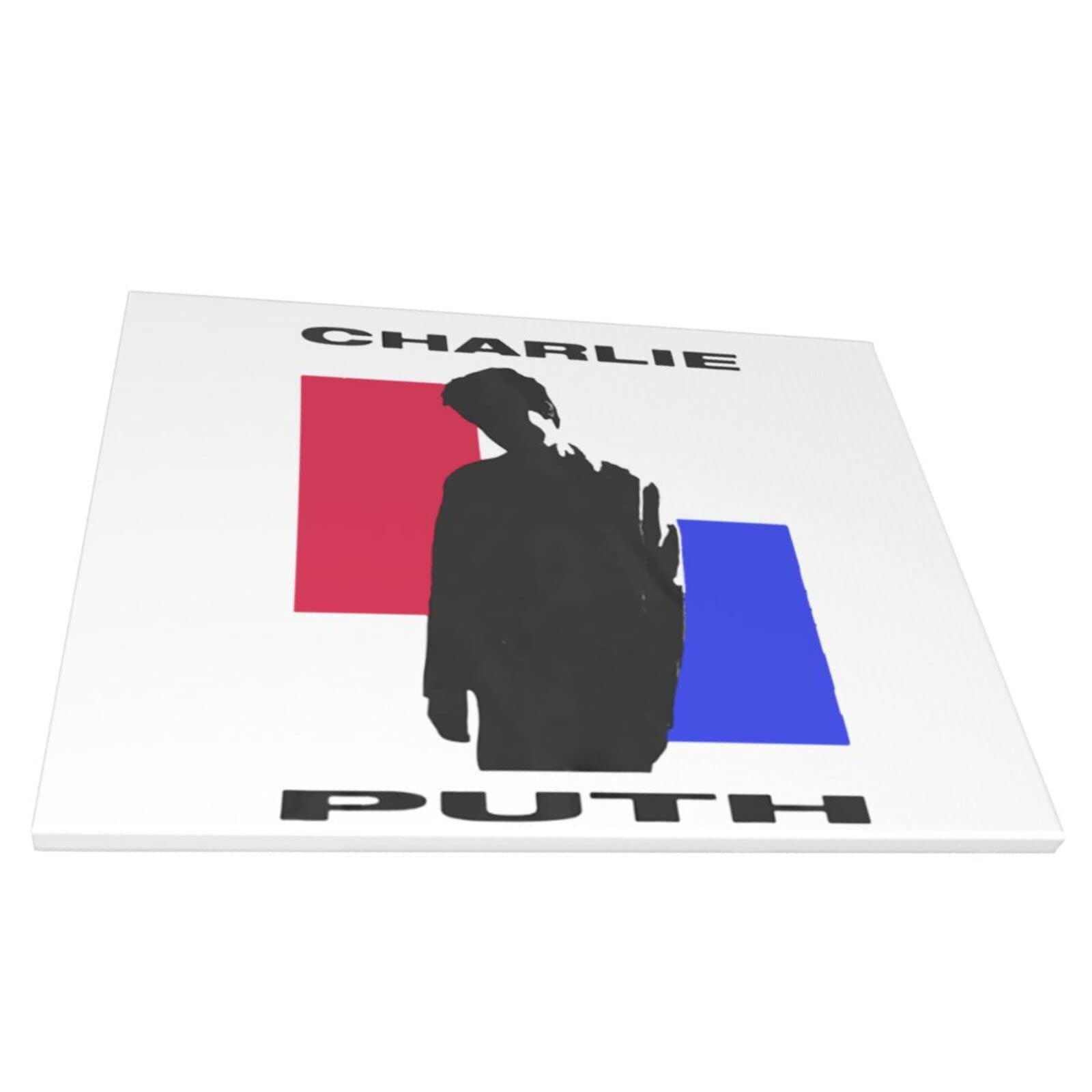 Amazon.co.jp: ポスター Charlie Puth チャーリー・プース 絵画 防水