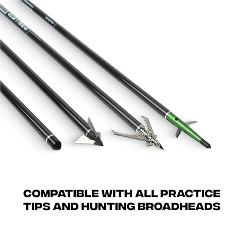 BALLISTA Piercer 20-Inch 2-Vane Crossbow Bolts - Pure Carbon Shaft, 355 Grains, Half-Moon Nock, 100-Grain Changeable Tips, Varnish Coating - Ideal for MEGABAT - Pack of 6 by BALLISTA - Image 7