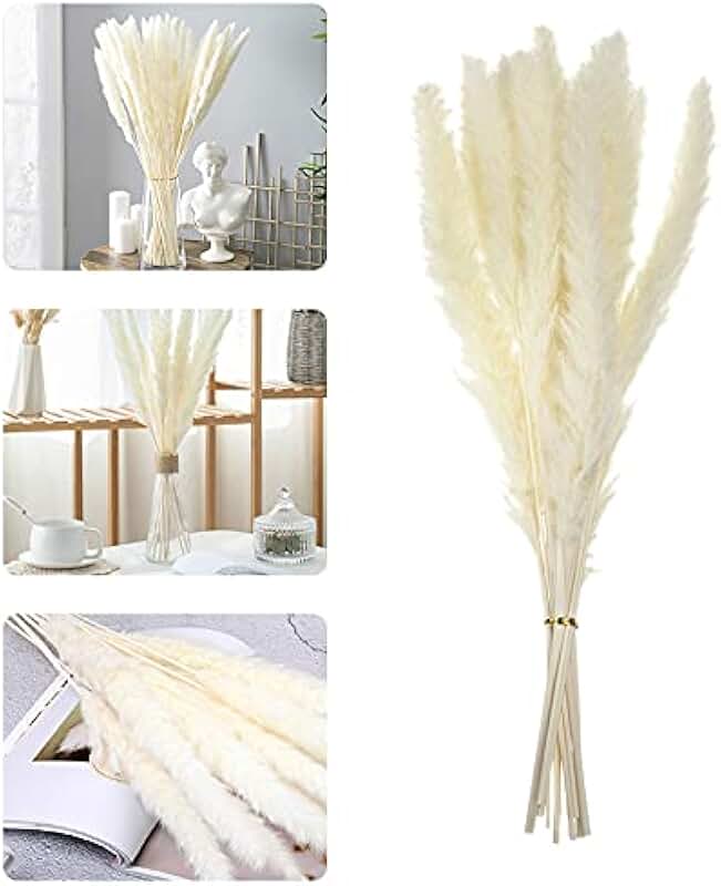 Amazon.co.uk pampas grass dried