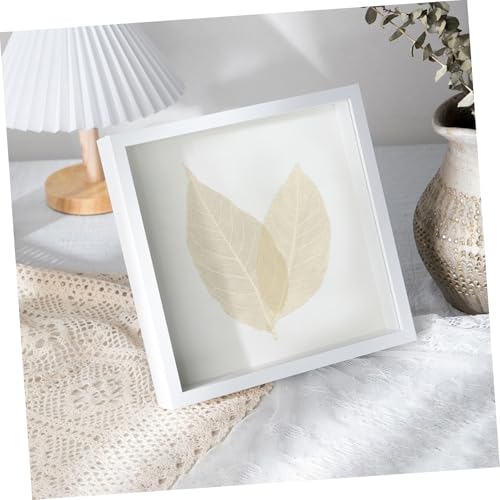 Hojas esqueletizadas naturales para manualidades y decoración miniatura 6