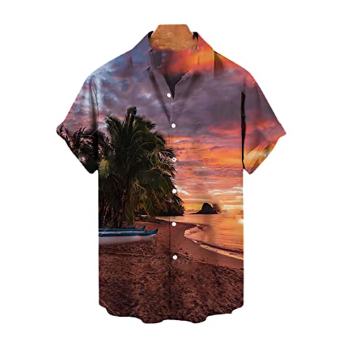 Chemise imprimée cocotier 3D homme style hawaïen coupe ample été taille 4XL