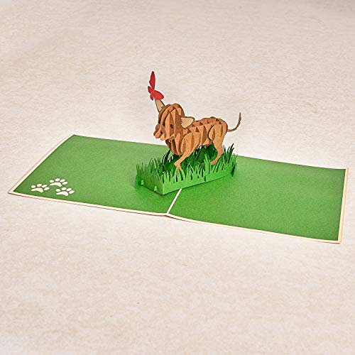 Image of Rykamia Pop Up Card - Delightful Chihuahua Illustrations, Blank Envelope, Thank You Message