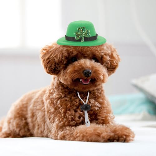 Disfraz ligero irlandés para mascotas 2 sets miniatura 6