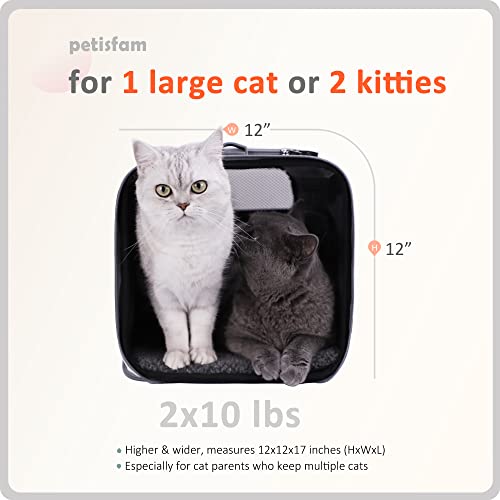Soft Pet Travel Carrier Bag for Large and Medium Cats, 2 Kitties, Small Dogs up to 25 lbs. Easy to Get Cat in, Great for… - Image 3