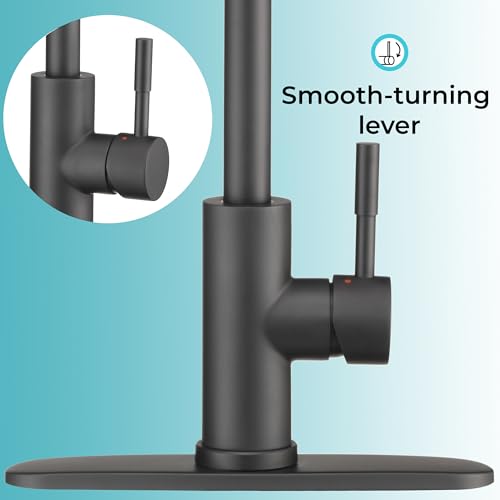 Image of Dura Faucet DF-MK531LK-MB RV Gooseneck Kitchen Faucet (Matte Black) | Streamline gooseneck kitchen faucet for RV and camper galleys. Matte Black finish. Easy DIY install.