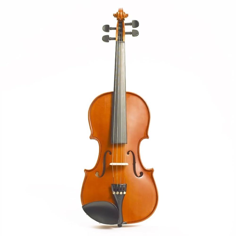 Stentor Student Standard - Violino da 1/4, per principianti