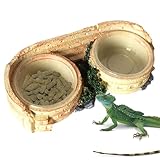 Plato de alimentaciónpara Reptiles: Bandeja de alimentacióny Accesorios para tazones de terrario, Cuenco de alimentacióny Bebida para hábitat | para hábitats de lagartos, Serpientes, Leopardo