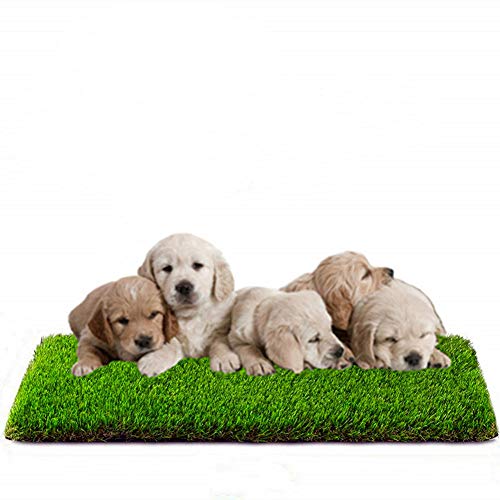 MTBRO Artificial Grass for Dogs and Small Pets, Premium Puppy Potty Training Grass