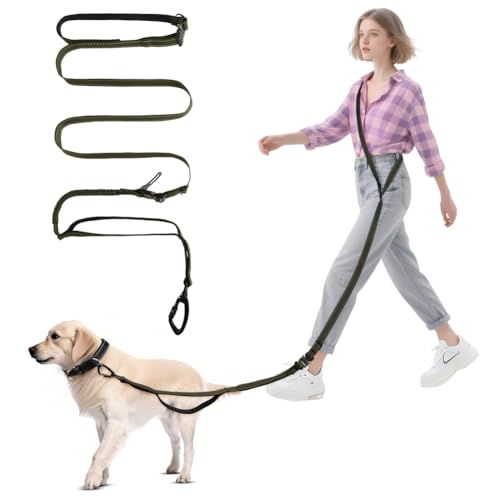 vsshe Laisse Mains Libres pour Chien, Laisse de Course pour Chiens, 190-255cm Ceinture Elastique Reglable, Coutures Réfléchissantes, Chiens de Taille Moyenne...