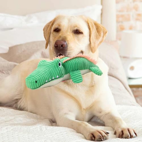 Jouets en peluche pour chien contre l'ennui crocodile résistant