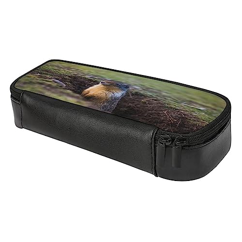 Fionel Groundhog Pu Leather Quad Pen Case Zipper Pencil Pouch Holder For Pens Case Office Storage Box Organizer Pen Bag(8×1.5×3.5 In) #TOP5