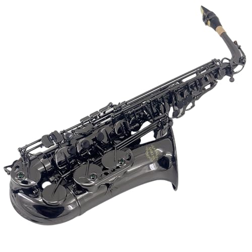 Image of JAS-802 Alto Saxophone E Flat Black Color Beginner /Performer