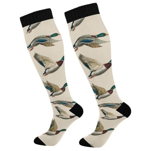 Image of Fisyme Socks for Women Men Warm Comfort Athletic Crew Running Hiking Cycling Compression Socks