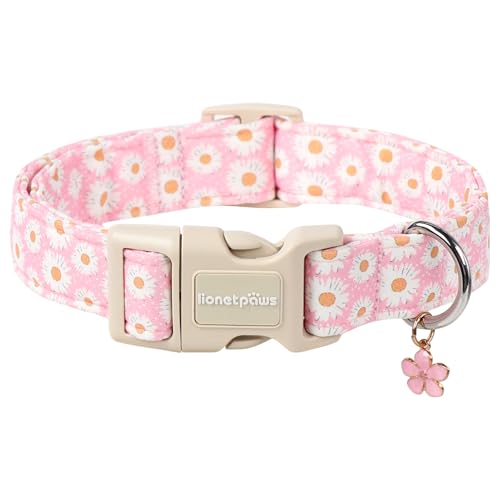Halsband Hund Ausgefallen  Die 15 besten Produkte im Vergleich -  Hundefhrerscheininfo.de