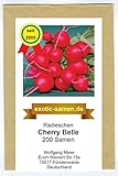 Radieschen - Cherry Belle - schnellw&uuml;chsig - fr&uuml;h reifend - k&ouml;stlich - samenfeste Sorte - 200 Samen