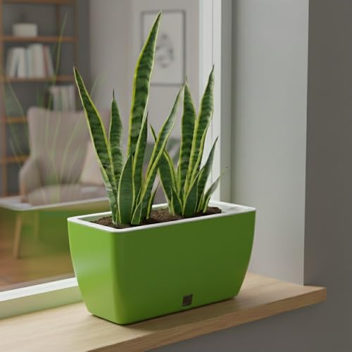 Image of GARDENCIA Self Watering Flower Pots for Outdoor Indoor Gardening /Rectangle Big Plant Pot with Polypropylene UV Material /Decorative Modern Gamla (Pack of 1, Recta Big Green)