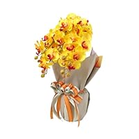 Amazon｜山久 造花 豪華ラッピング付 シルクフラワーの胡蝶蘭 イエロー