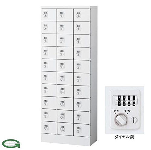 Amazon.co.jp: SEIKO FAMILY（生興） 小物入れロッカー 3列10段