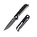 Kizer Knives Pocket Knife with Clip Black G10 Handles Material EDC Folding Knife, Begleiter V4458A1