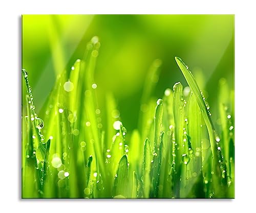 Cannucce per erba con piastra di copertura e paraspruzzi in vero vetro, per piani cottura | 60 x 52 cm