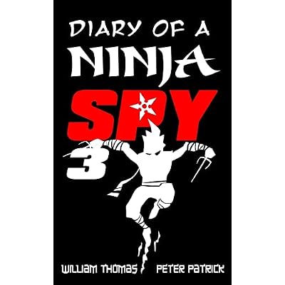 Diary of a Ninja Spy 3: Ninja Ghost Attack!