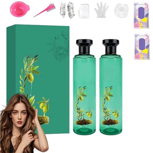 Tinte Capilar Duradero Con Aceites Esenciales Botánicos, Fórmula Suave. Set De Tinte Capilar Duradero, A Base De Plantas Para Cubrir Las Canas, Para Todo Tipo De Cabellos (Negro natural)