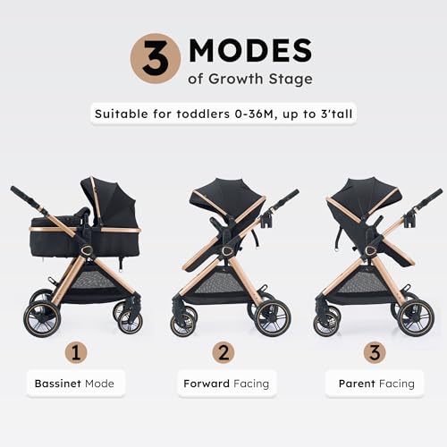 Accombe 2 In 1 Baby Stroller thumb #1