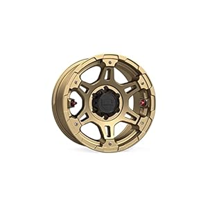 41vtetfpkgl. sl500 . ss300