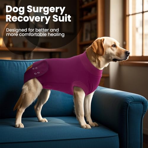 Image of IDOMIK Dog Recovery Suit for Neuter Spay,Anti-Licking Dog Surgical Bodysuit | Soft Dog Recovery Onesie Protects Abdominal Wounds, Easy to Wear, Easy Potty Breaks, E-Collar Cone Alternative,Purple,S