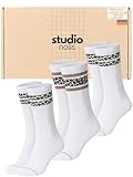 Studio Nolis