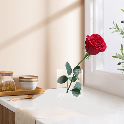 Pot à fleurs en verre compact 3pcs pour hydroponie facile - 7