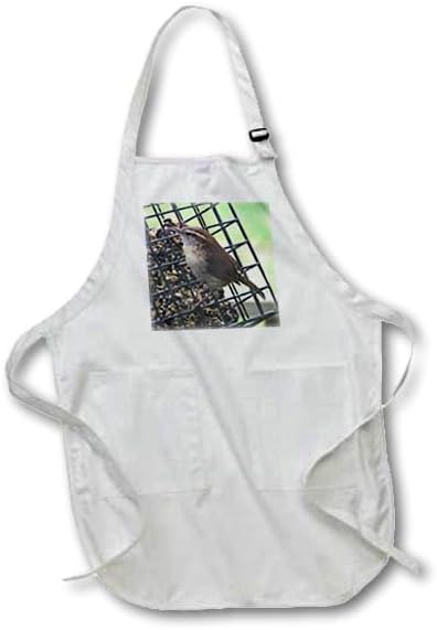 3dRose apr_21155_1 House Wren - Delantal de longitud completa, 22.0 x 30.0in, blanco, con bolsillos