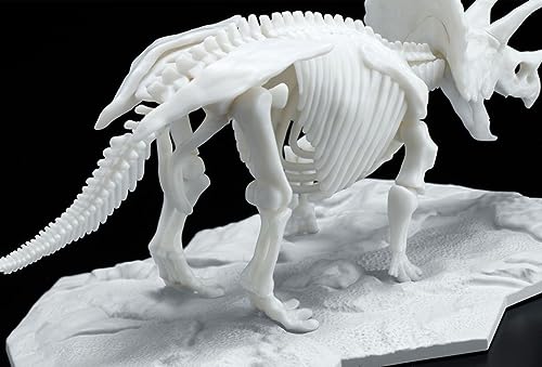 Bandai Hobby Modelo Kit Esqueleto Dinosaurio Triceratops miniatura 5