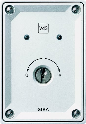 Preisvergleich Produktbild Gira 013400 Schlüsselschalter Aufputz Alarm
