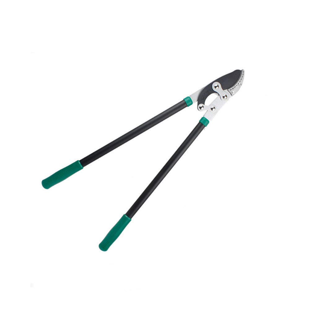 Forbici da potatura, cesoie manuali, cesoie per Rami da Giardino, cesoie Spesse retrattili, cesoie per potatura Alberi da frutto