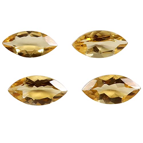 ChVgt@ZbgVR 6X12mm }[LX^ 4 bg 6.2Jbg Gtc-444-B09SPZRZ61